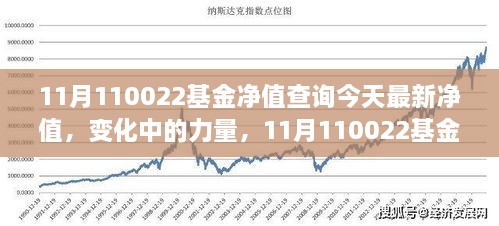 关于481015基金最新净值的深度解析