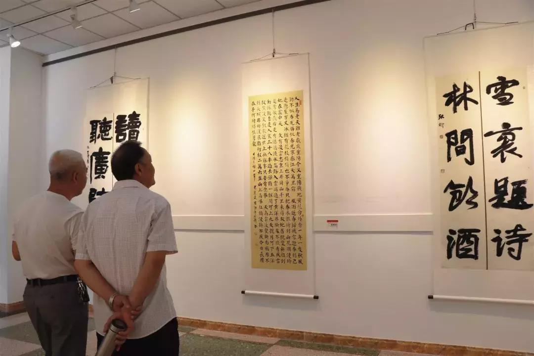 武清最新新闻综述，城市发展的脉搏与民生改善的脚步