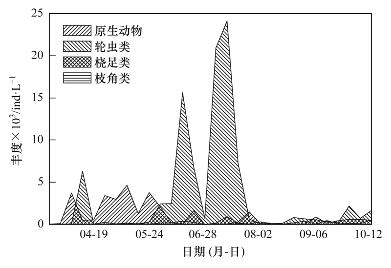 庐江最新干部任免动态及其影响